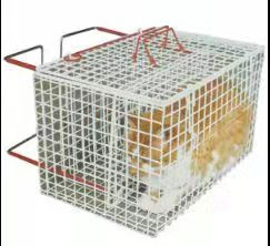 o pvc exterior do metal da rede de arame de 2mm revestiu a gaiola galvanizada da exposição do animal de estimação