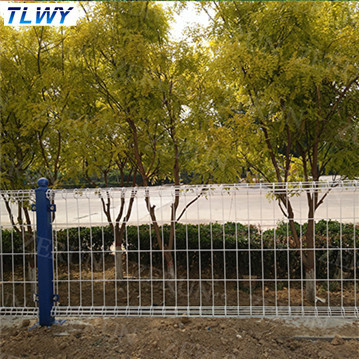 China Anping TLWY 30 anos de pó da fábrica revestiu a cerca de segurança dobro do fio