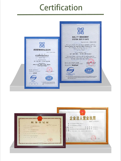 China Anping Tailong Wire Mesh Products Co., Ltd. Certificações